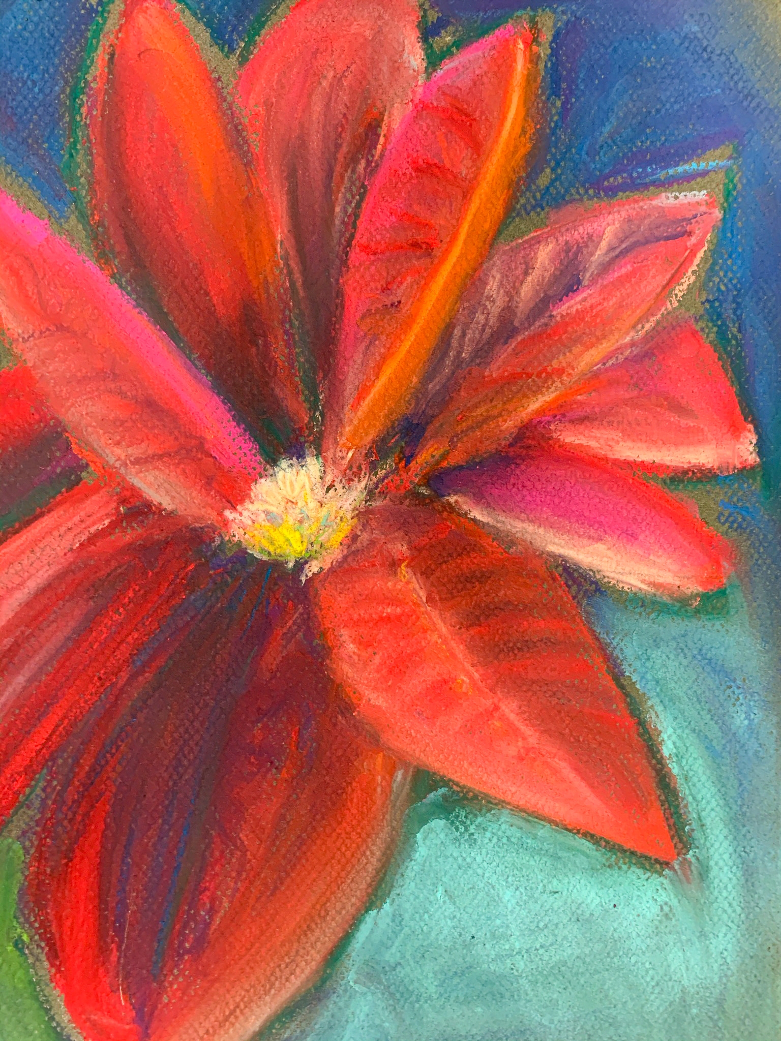 Pointsetta, from 2021. Pastel drawing.