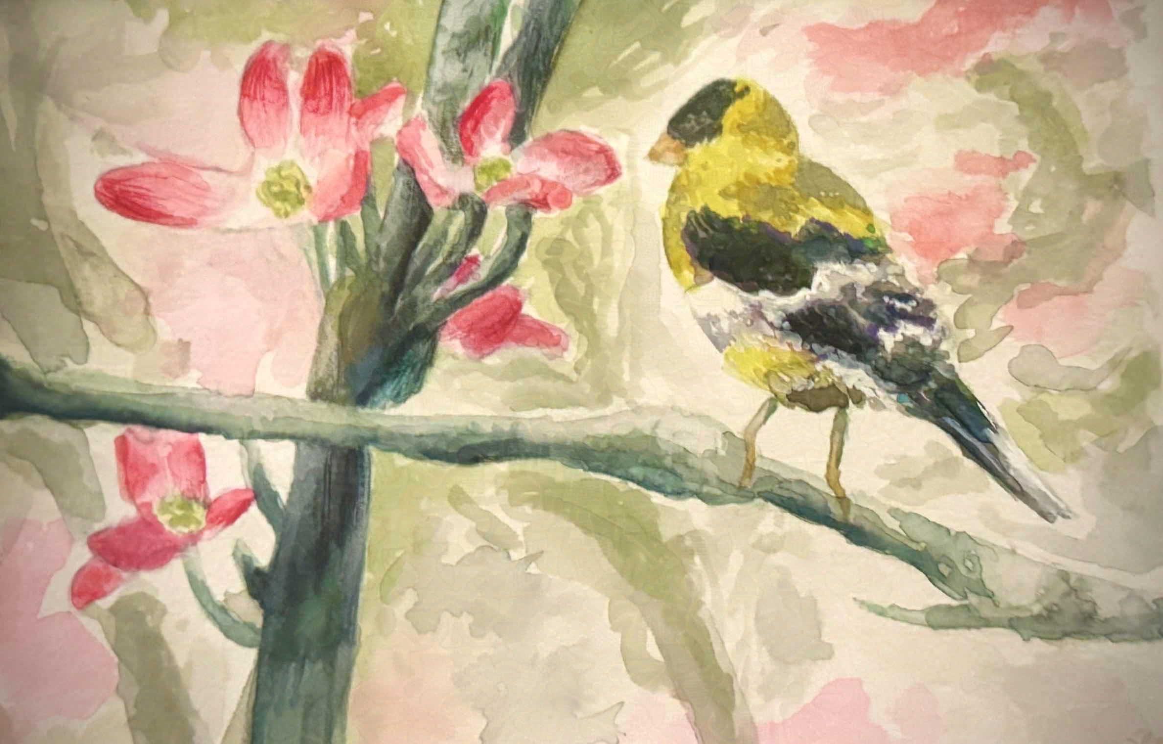 Bird, from 2022. Watercolor painting.